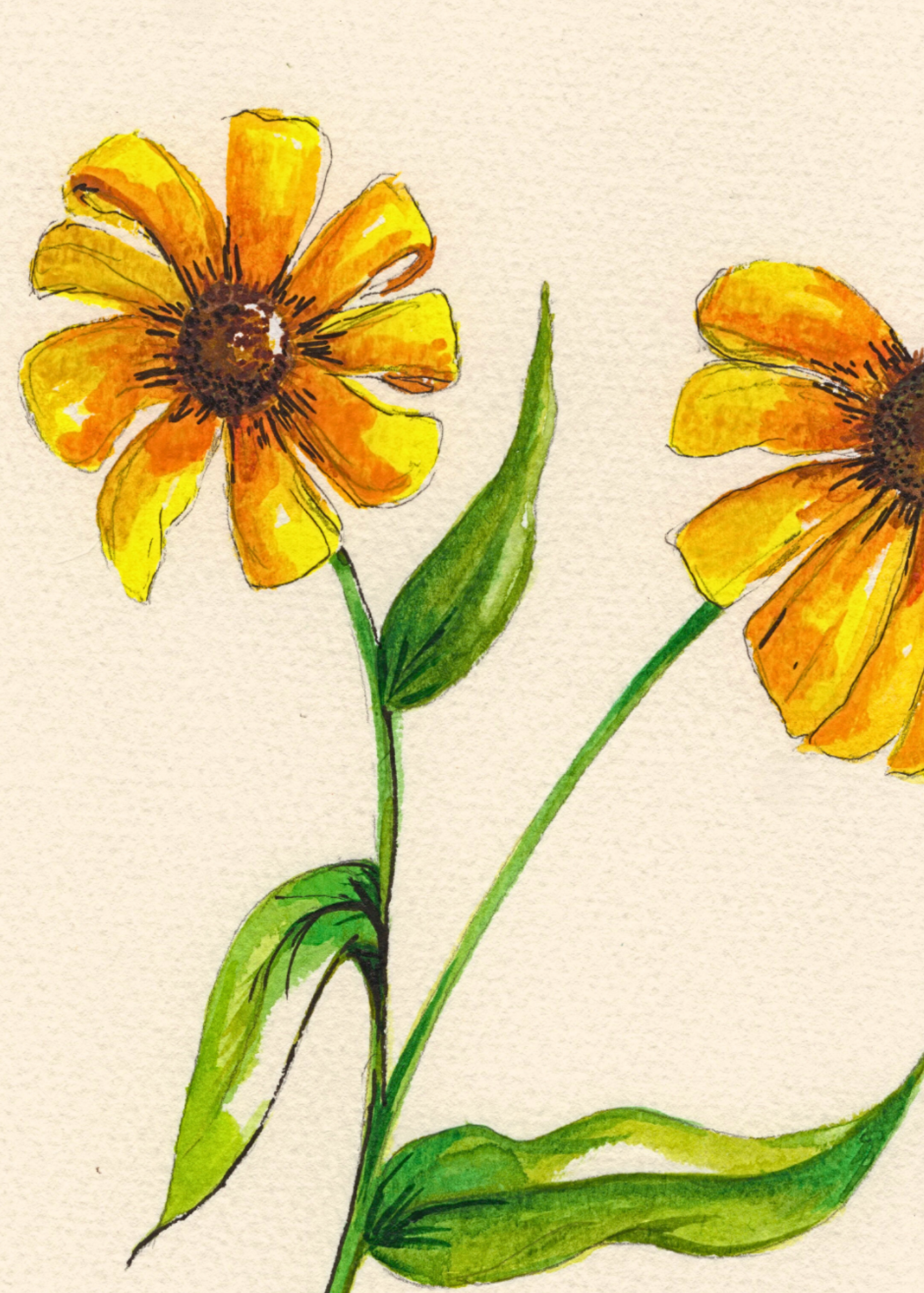 Watercolor Print Wildflower