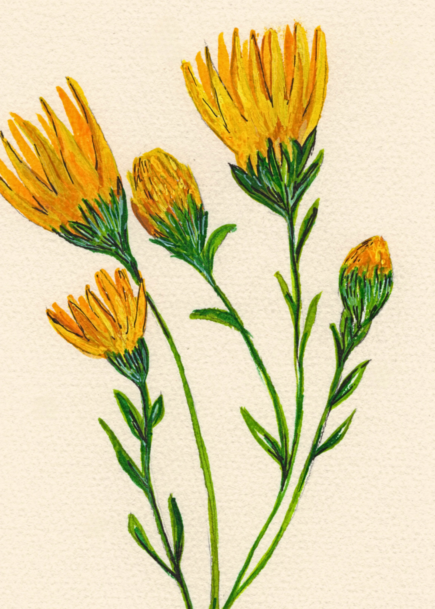 Watercolor Print Wildflower
