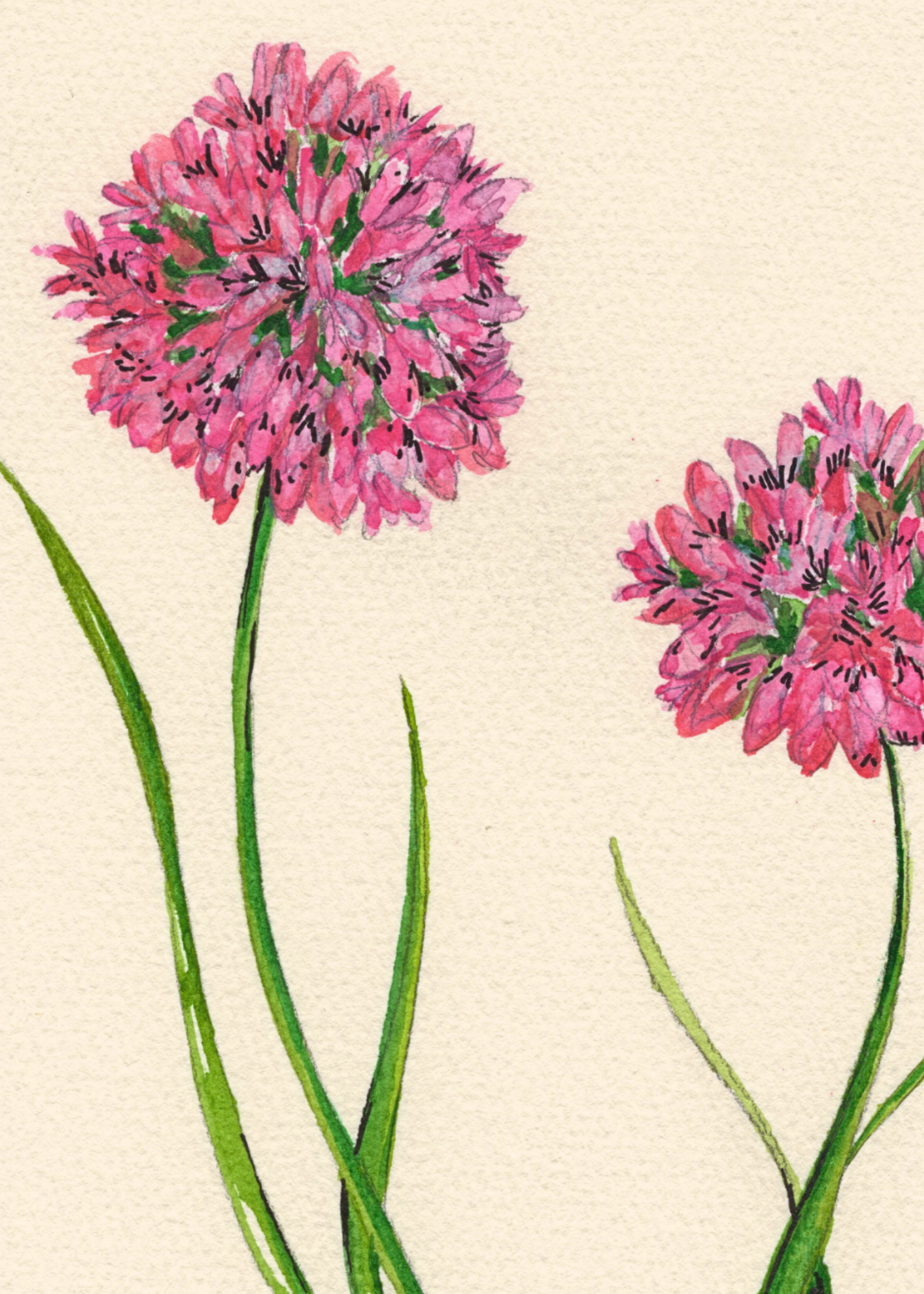 Watercolor Print Wildflower