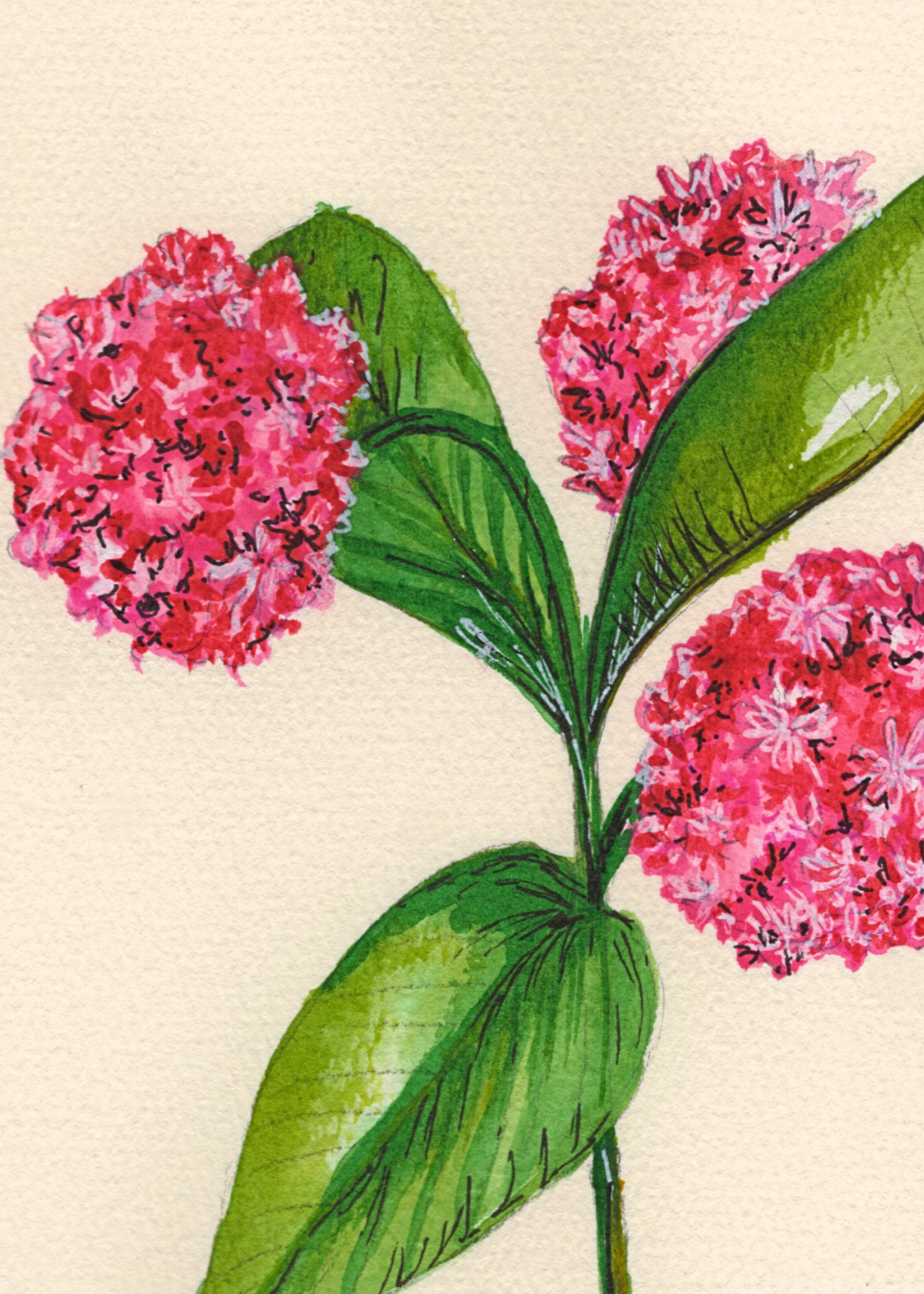 Watercolor Print Wildflower