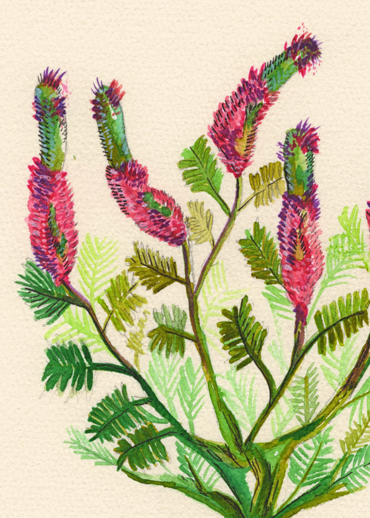 Watercolor Print Wildflower