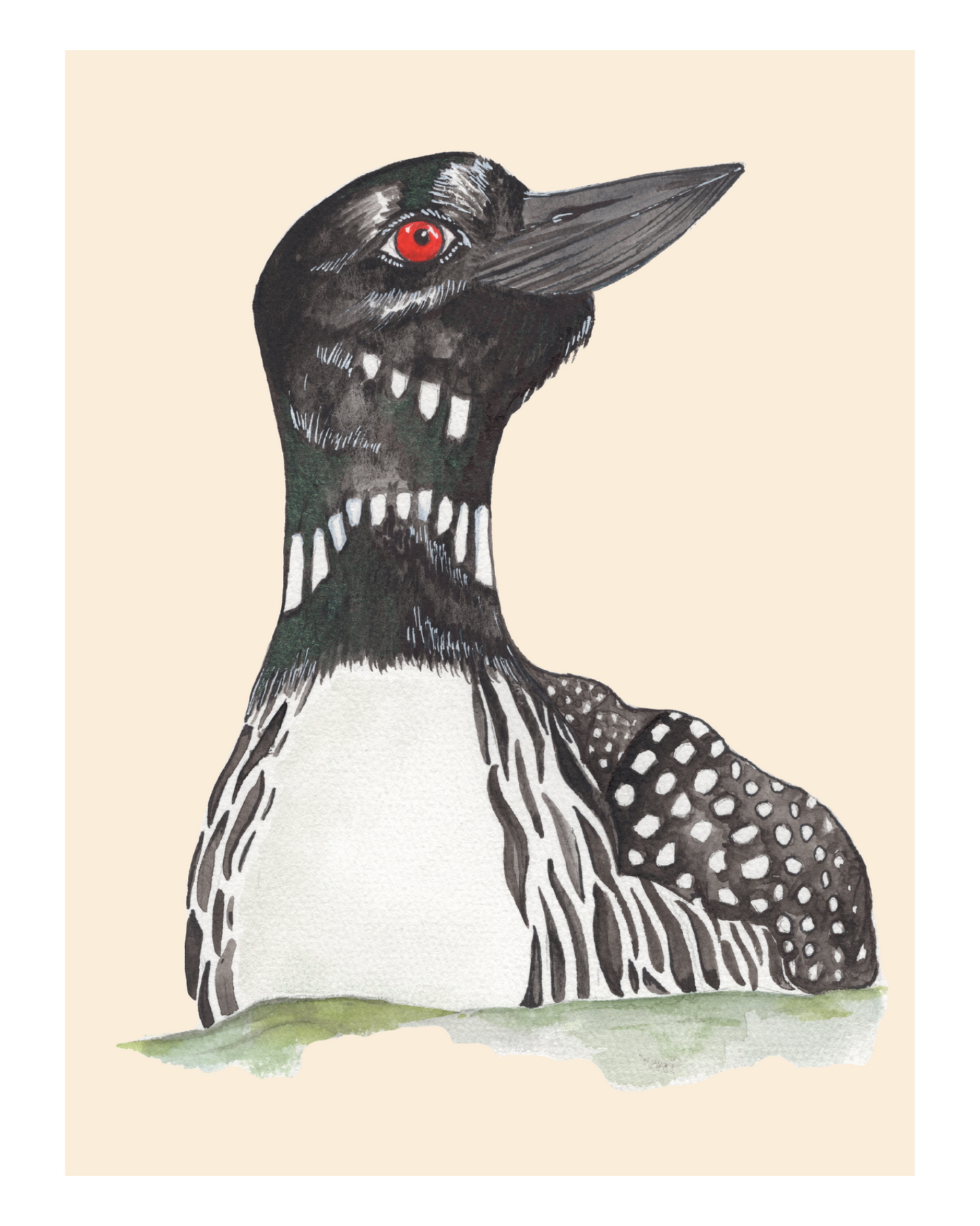Common Loon Watercolor print