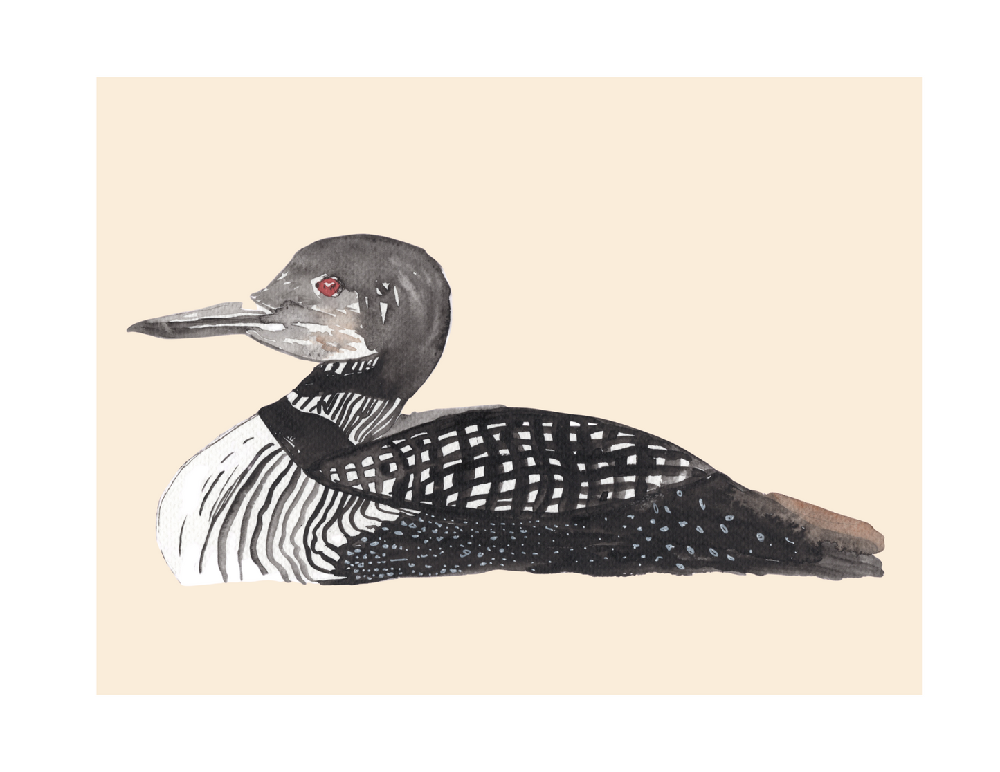 Common Loon Watercolor print