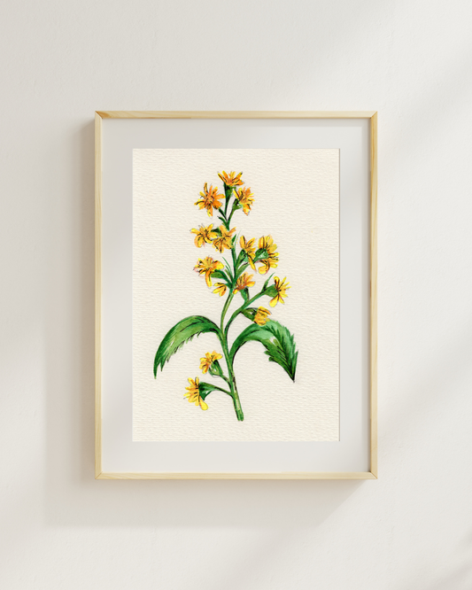 Watercolor Print Wildflower