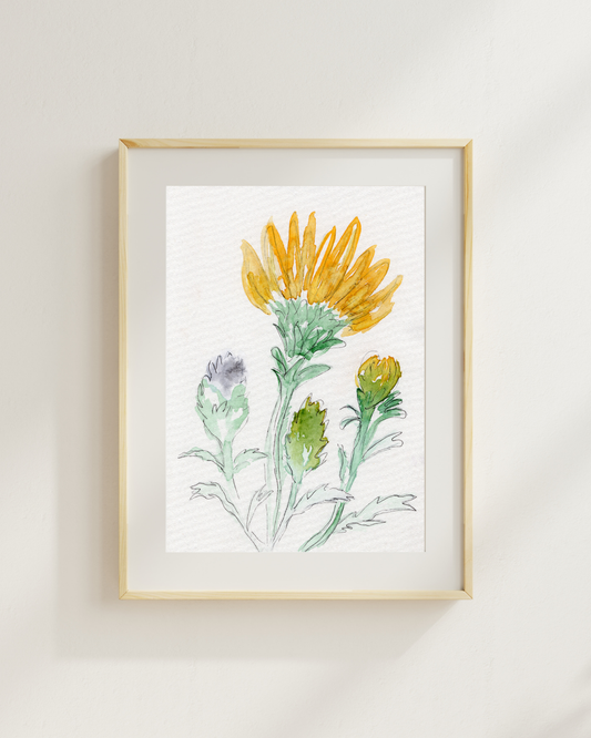 Watercolor Print Wildflower