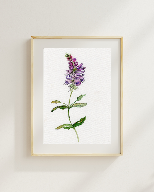 Watercolor Print Wildflower