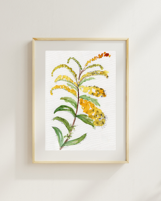 Watercolor Print Wildflower