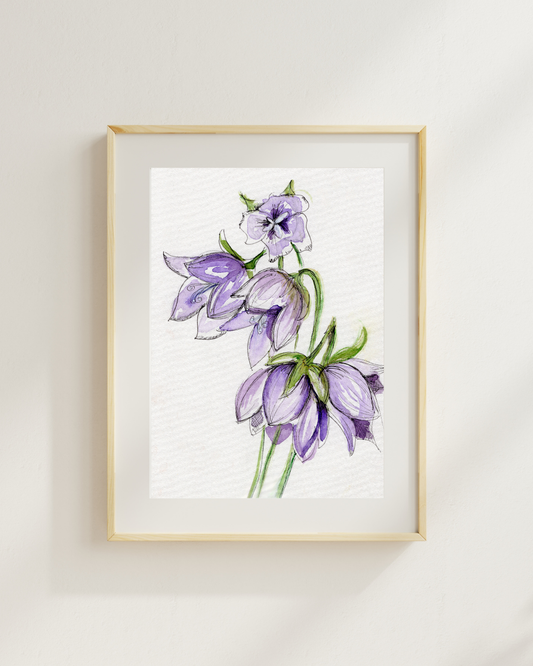 Watercolor Print Wildflower