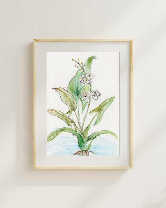 Watercolor Print Wildflower