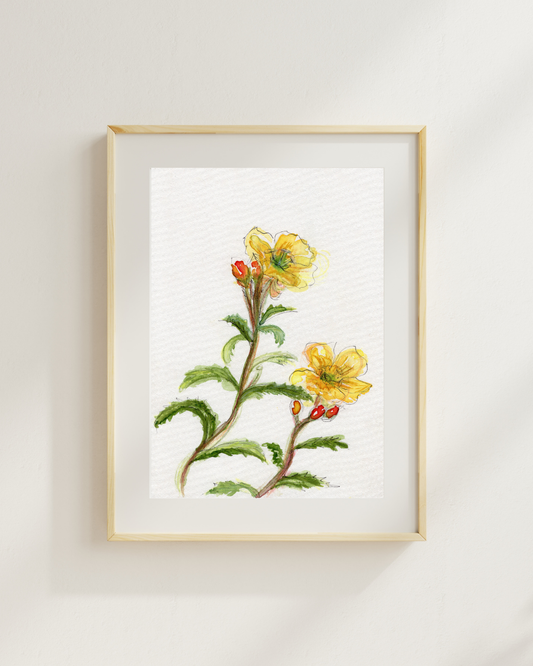 Watercolor Print Wildflower