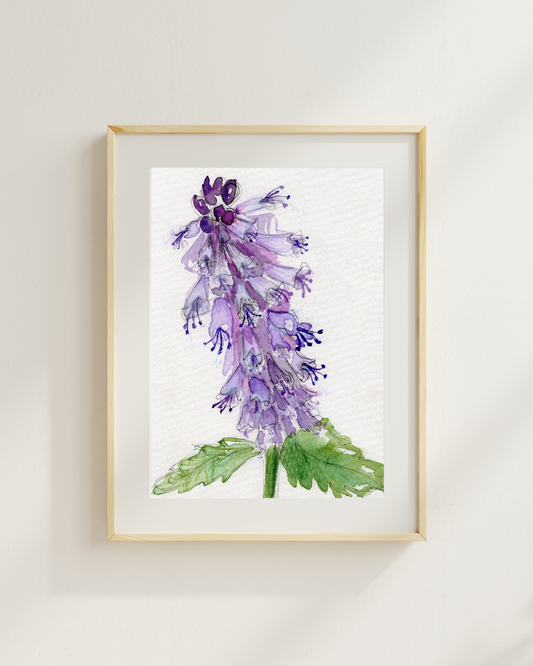 Watercolor Print Wildflower