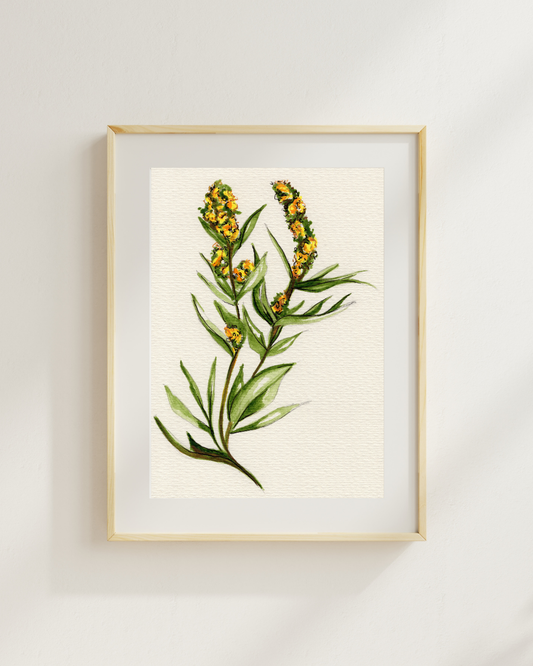 Watercolor Print Wildflower