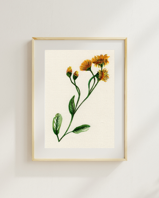 Watercolor Print Wildflower