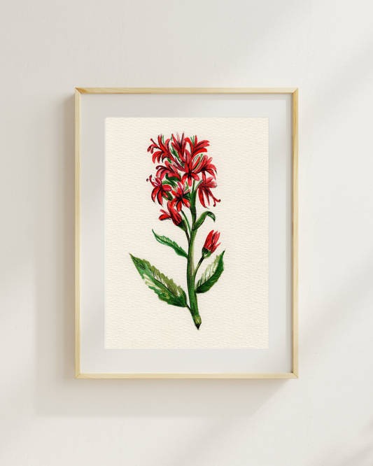 Watercolor Print Wildflower