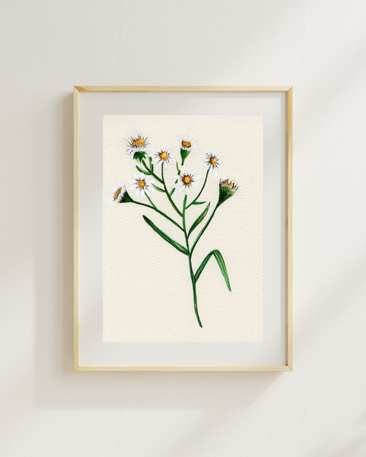 Watercolor Print Wildflower