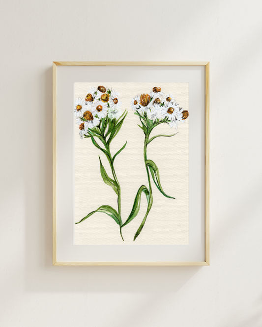 Watercolor Print Wildflower