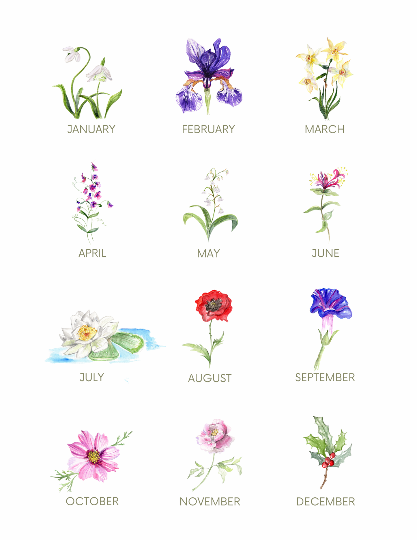Birth Flower Print Collection