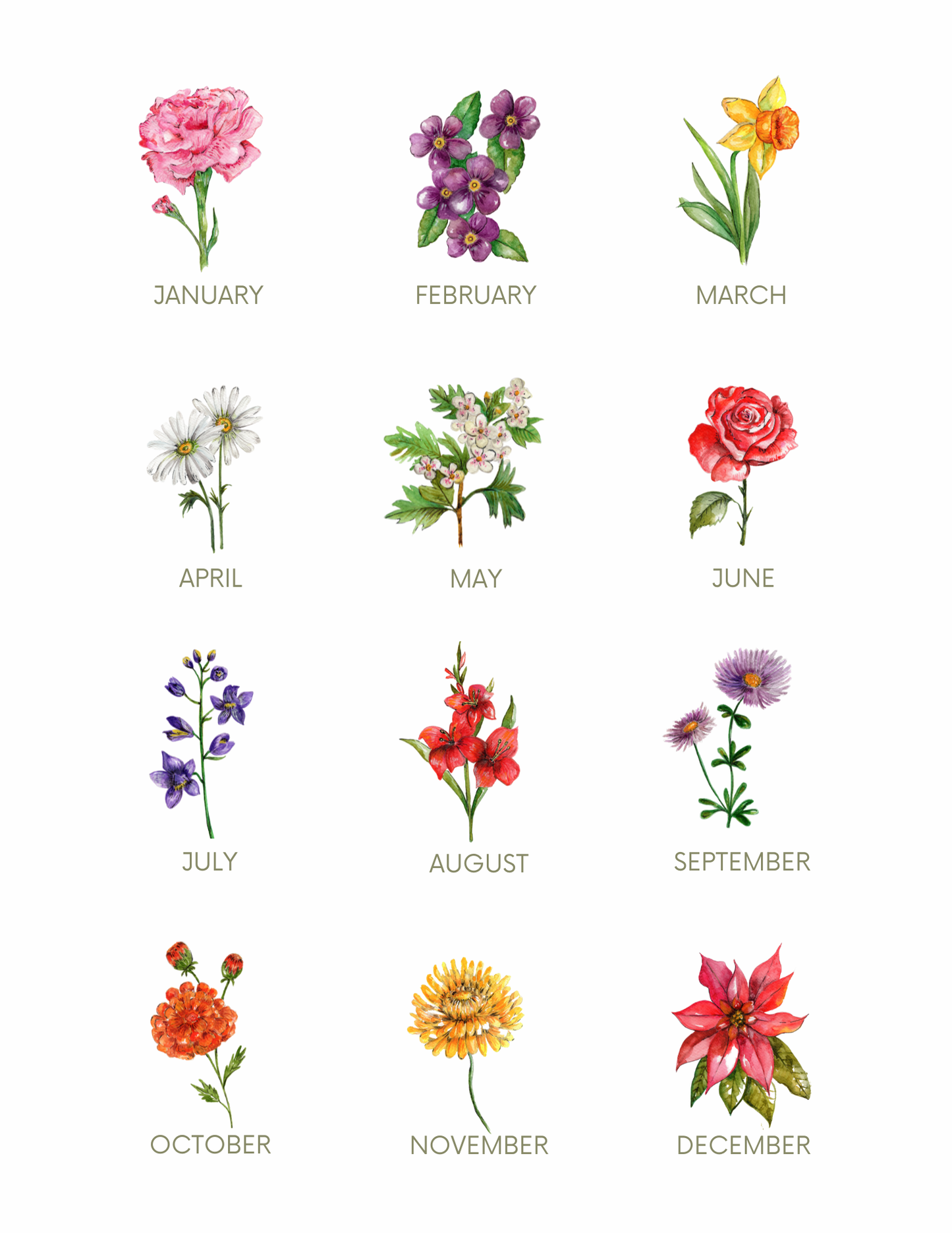 Birth flower Collection card